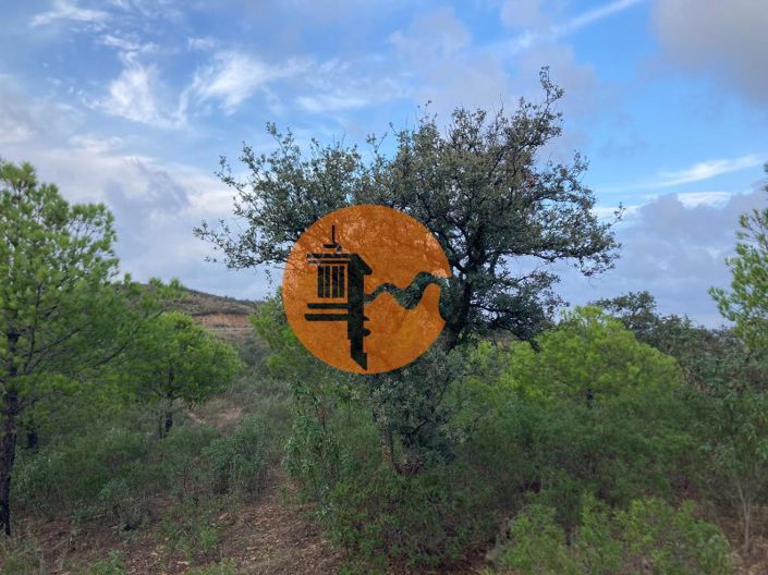 Image No.20-Plot for sale