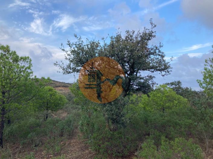 Image No.20-Plot for sale