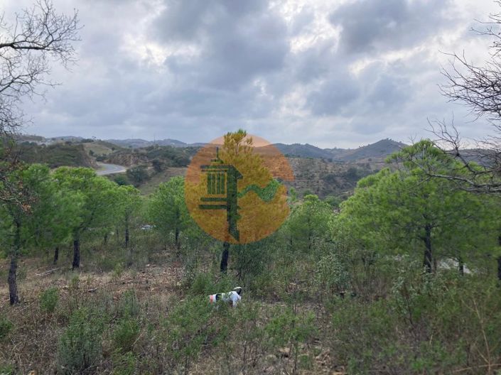 Image No.21-Plot for sale