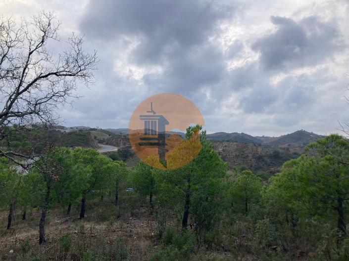 Image No.22-Plot for sale