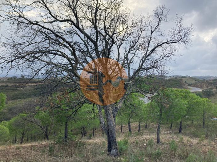 Image No.23-Plot for sale