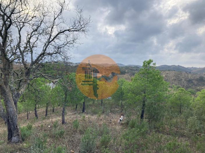 Image No.24-Plot for sale