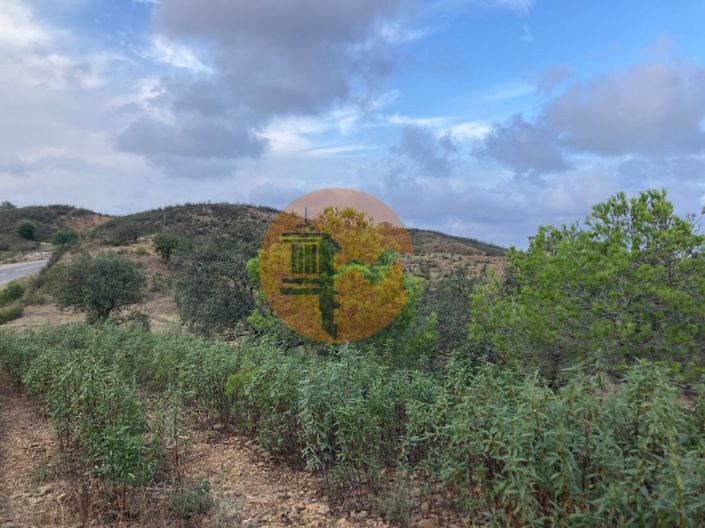 Image No.25-Plot for sale