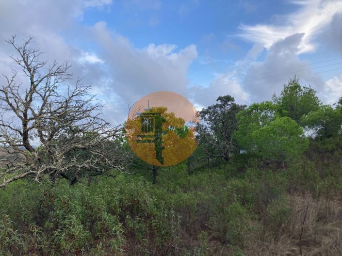 Image No.26-Plot for sale