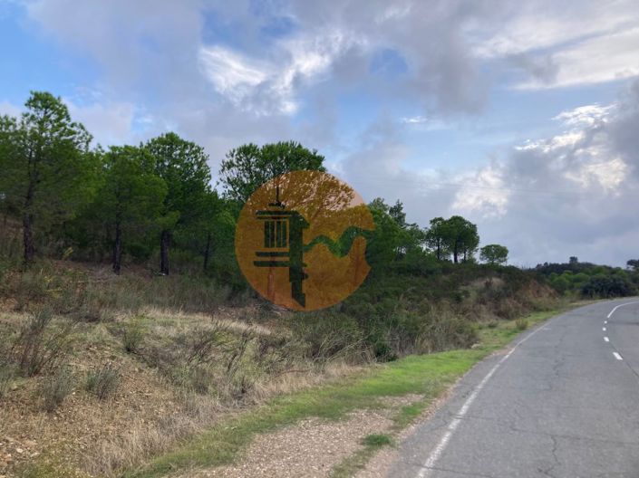 Image No.27-Plot for sale