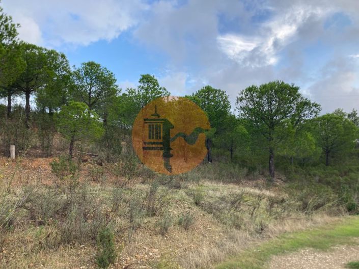 Image No.28-Plot for sale