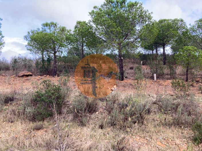 Image No.29-Plot for sale