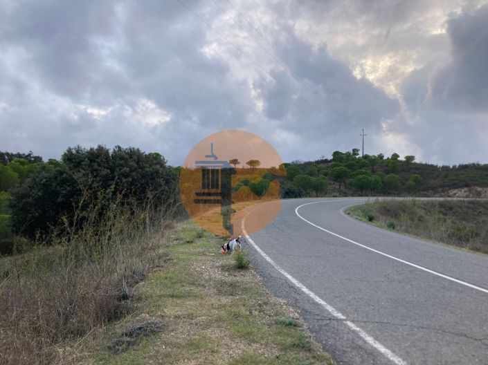 Image No.3-Plot for sale