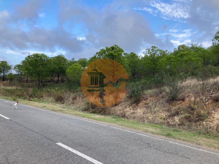 Image No.30-Plot for sale