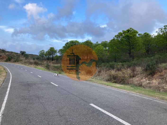 Image No.31-Plot for sale