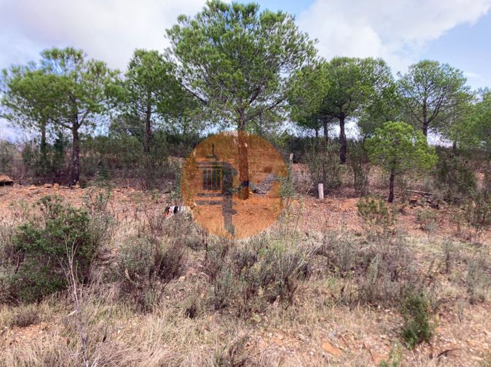 Image No.33-Plot for sale