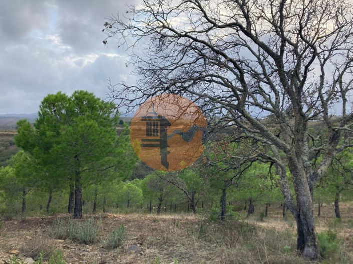 Image No.4-Plot for sale