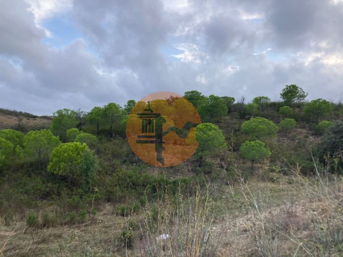 Image No.5-Plot for sale