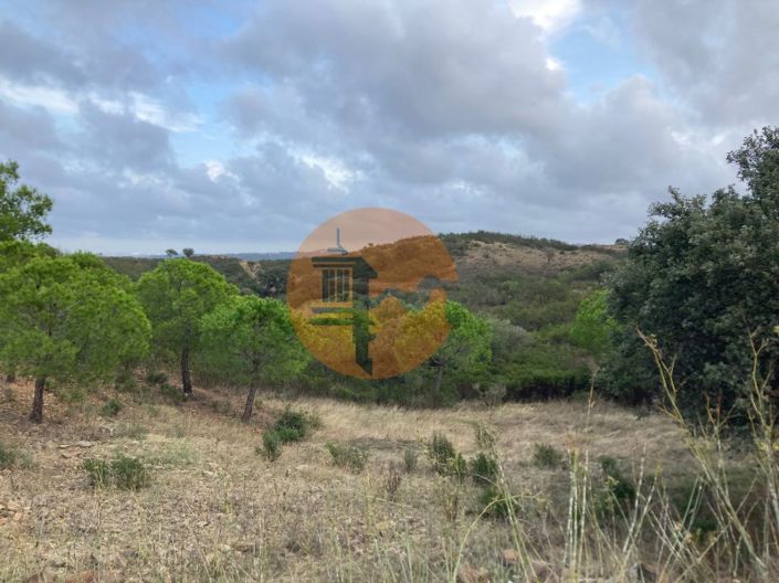 Image No.6-Plot for sale