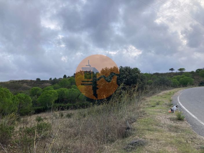 Image No.7-Plot for sale