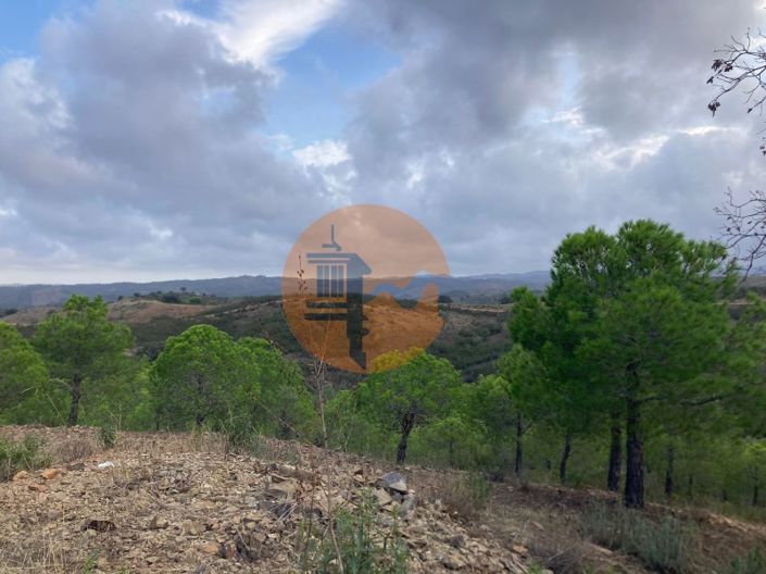 Image No.9-Plot for sale