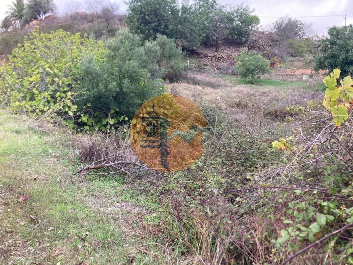 Image No.15-Plot for sale