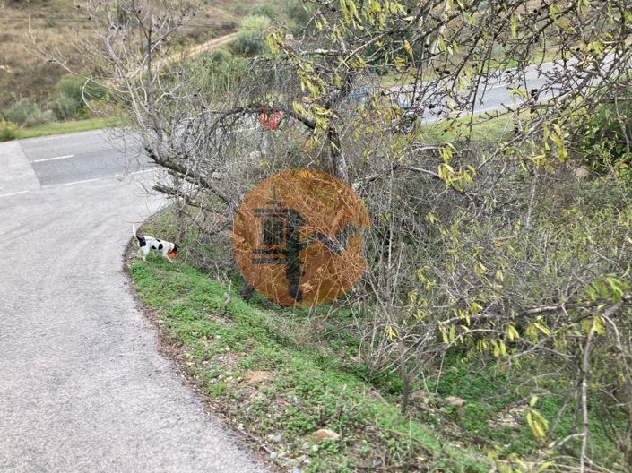 Image No.19-Plot for sale