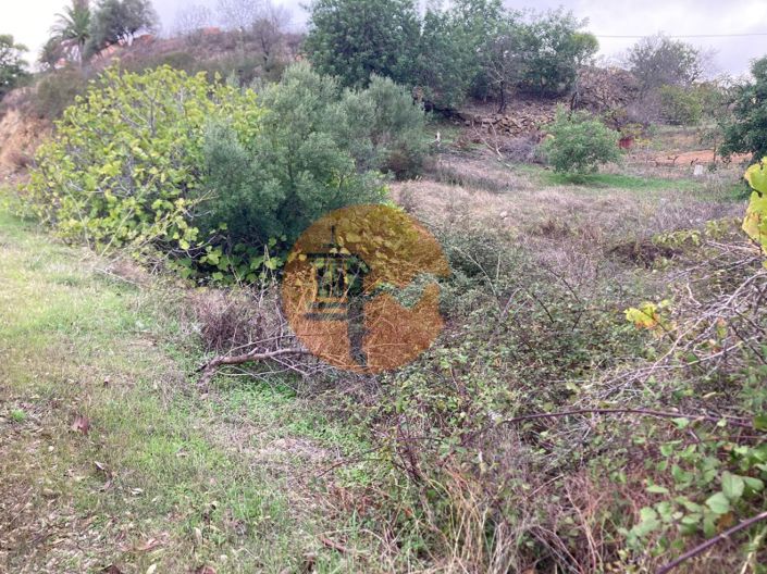 Image No.25-Plot for sale