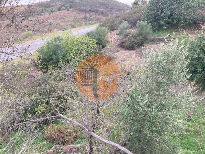 Image No.26-Plot for sale