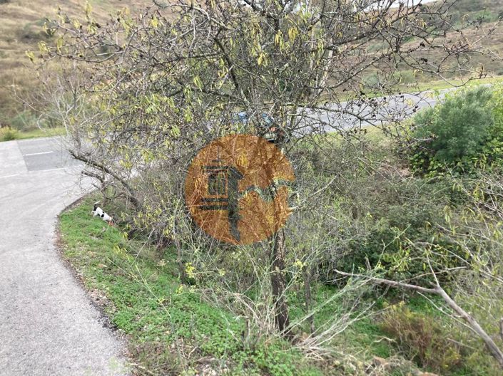 Image No.29-Terrain à vendre à Castro Marim