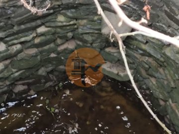 idbe438d01-0000-0500-0000-0000148cc6c5