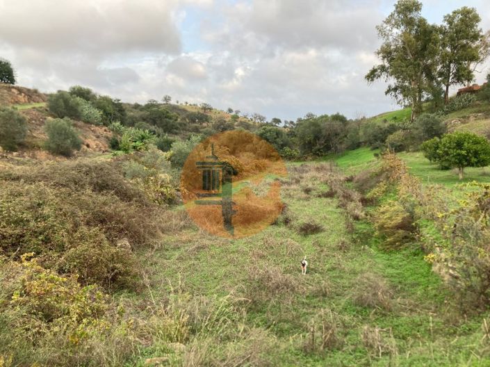 Image No.21-Plot for sale