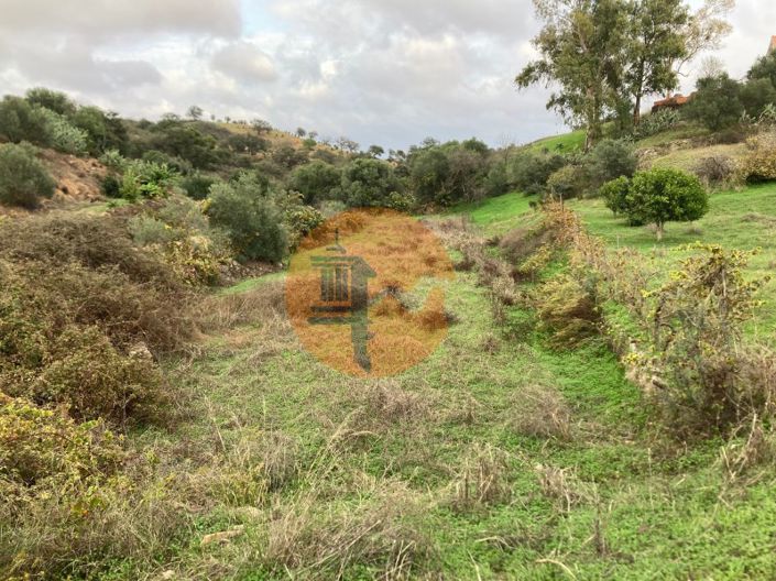 Image No.23-Plot for sale