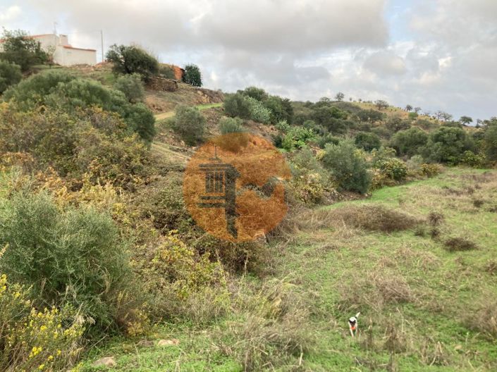 Image No.24-Plot for sale