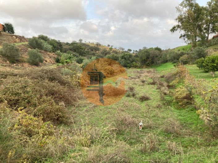 Image No.26-Plot for sale