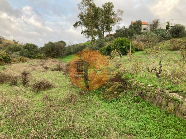 Image No.3-Plot for sale