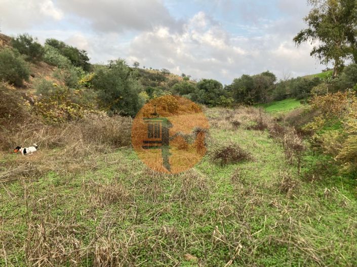 Image No.6-Plot for sale