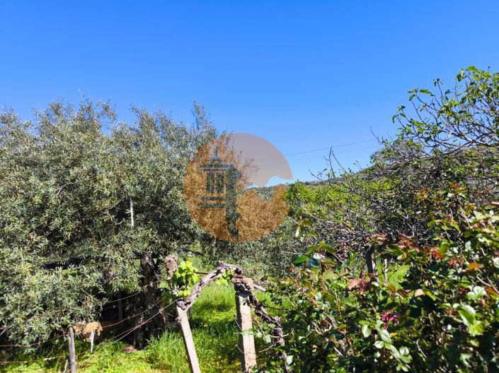 Image No.6-Plot for sale