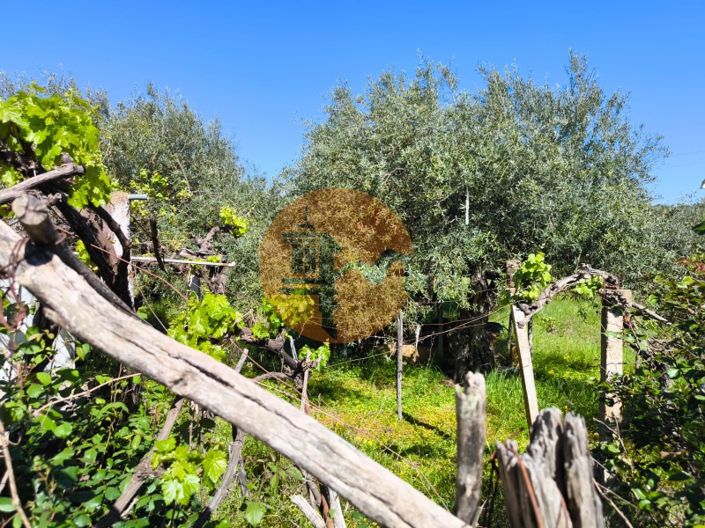 Image No.7-Plot for sale