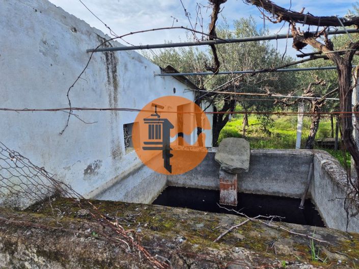 Image No.2-Plot for sale