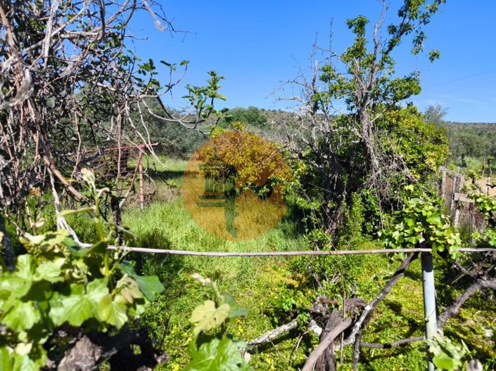 Image No.11-Plot for sale