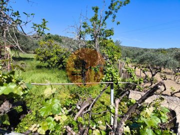 id7d148d01-0000-0500-0000-000018fa3e1e