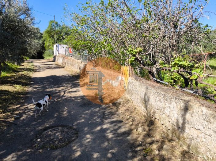 Image No.13-Plot for sale