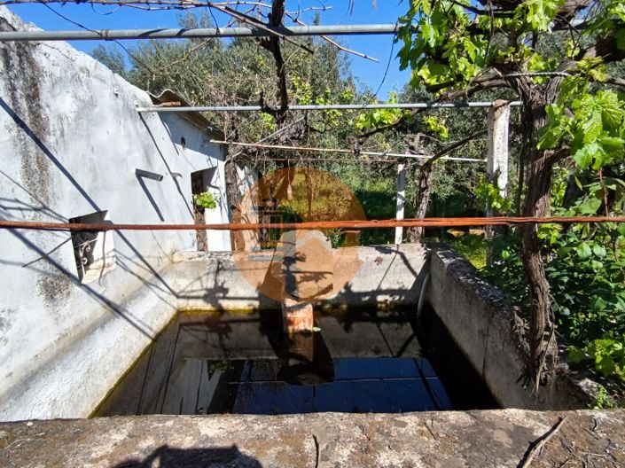 Image No.14-Plot for sale