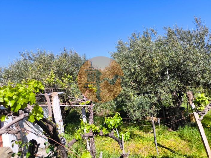 Image No.5-Plot for sale