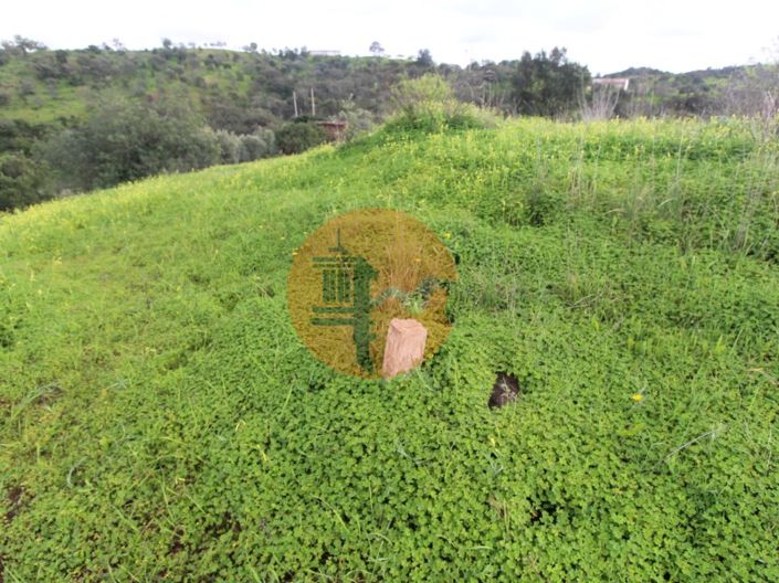 Image No.14-Ferme de 2 chambres à vendre à Tavira