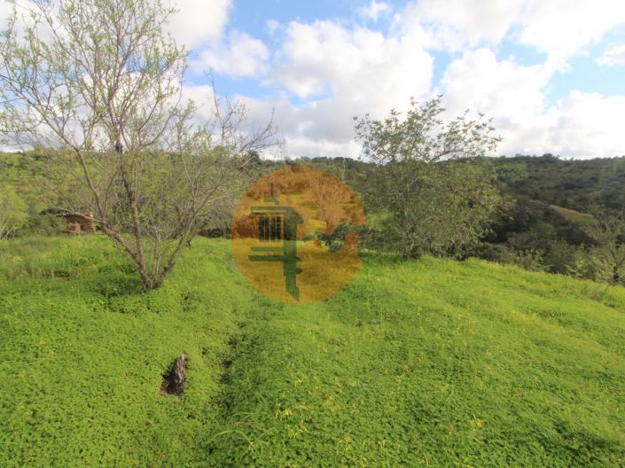 Image No.17-Ferme de 2 chambres à vendre à Tavira