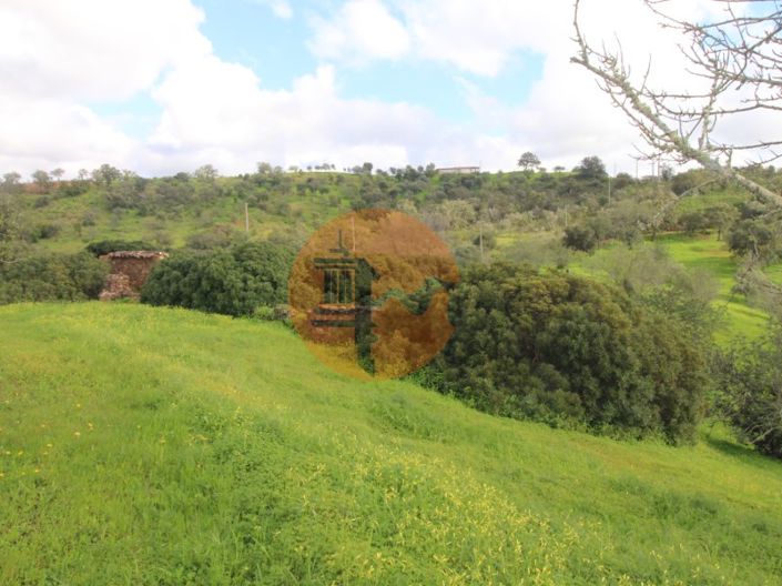 Image No.20-Ferme de 2 chambres à vendre à Tavira