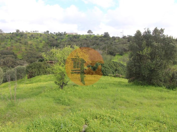 Image No.21-Ferme de 2 chambres à vendre à Tavira