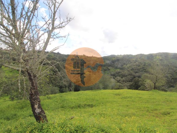 Image No.23-Ferme de 2 chambres à vendre à Tavira
