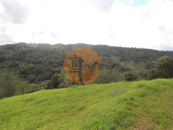 Image No.24-Ferme de 2 chambres à vendre à Tavira