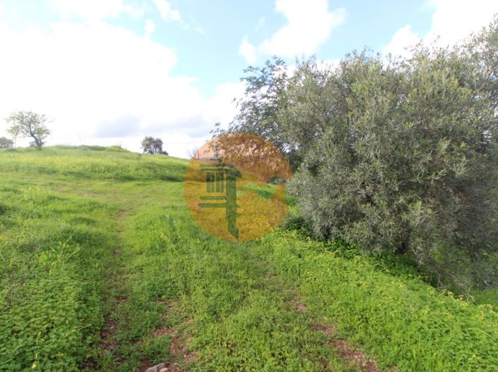 Image No.25-Ferme de 2 chambres à vendre à Tavira