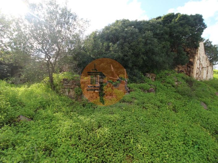 Image No.27-Ferme de 2 chambres à vendre à Tavira