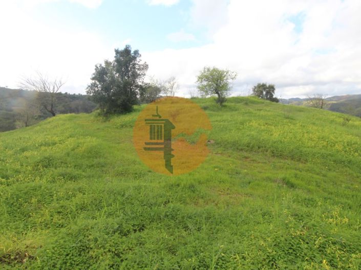 Image No.5-Ferme de 2 chambres à vendre à Tavira