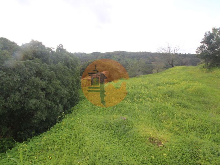 Image No.6-Ferme de 2 chambres à vendre à Tavira